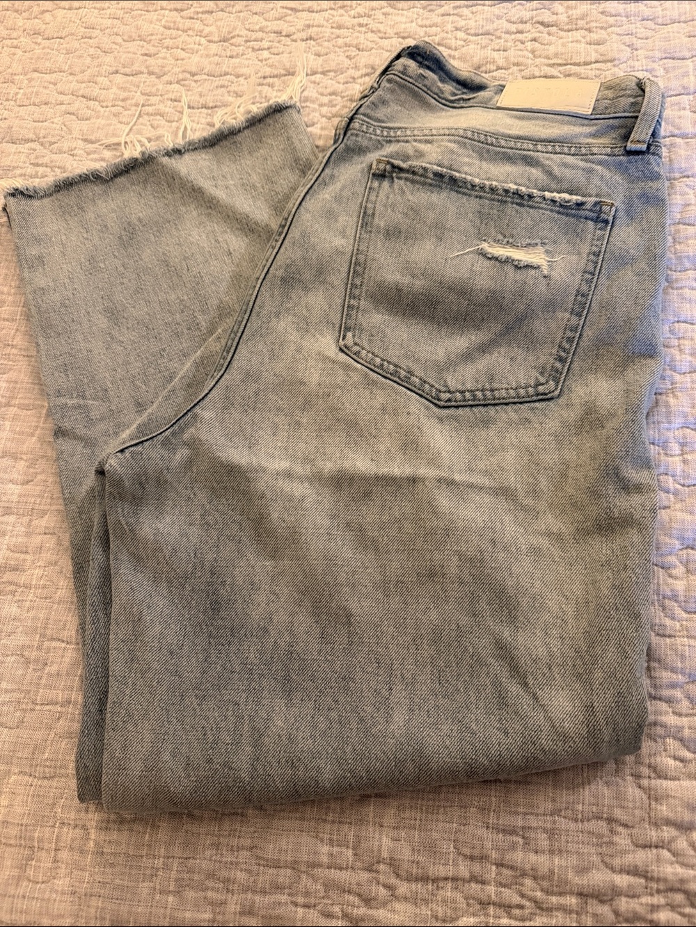 Pistola Women Light Blue Straight Jeans with Subtle Distress
